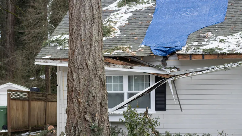 Storm damage