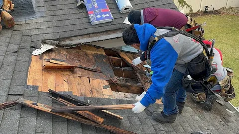 Asphalt Shingle Roof Replacement Near Me in Chesterfield VA
