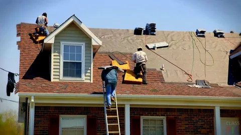Damaged Shingle Replacement Services in Chesterfield VA