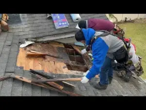 Damaged Shingle Replacement Services
