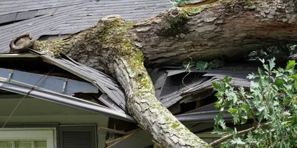 Emergency Roofing and Storm Damage in Caroline County, VA