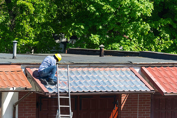 Expert Damaged Shingle Replacement Services in Chesterfield VA 