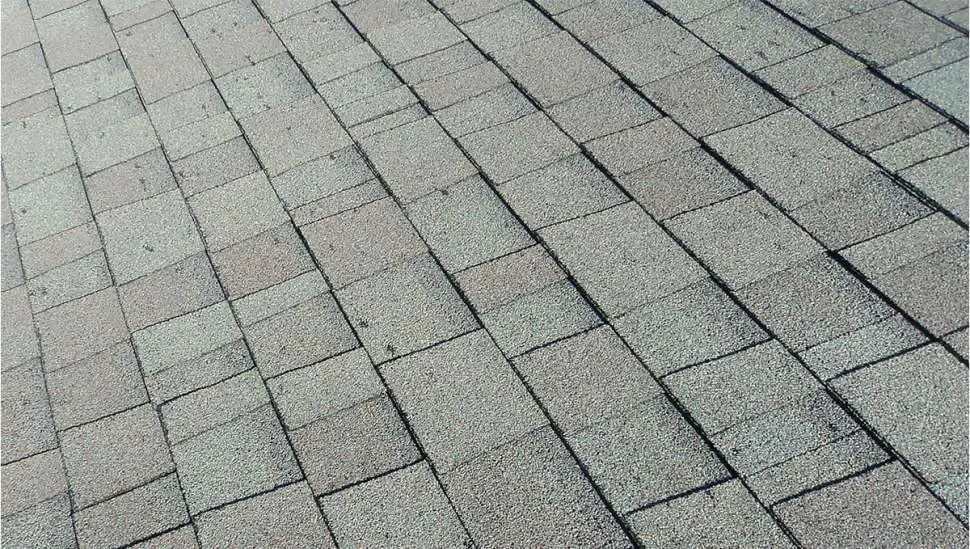 Need a New Roof Bald Spots