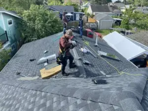 Professional Shingle Roofing Services