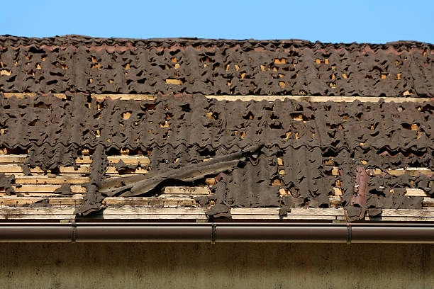 Reliable Shingle Roof Replacement Near Me in Chesterfield, VA
