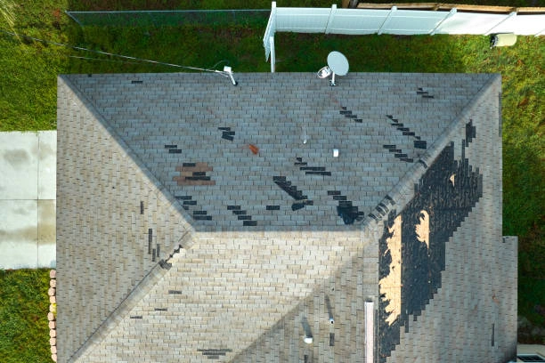 Expert Damaged Shingle Replacement Services in Chesterfield, VA