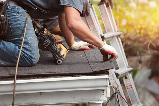Reliable Shingle Roofing Services in Chesterfield, VA