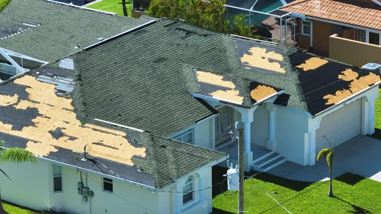 Expert Damaged Shingle Replacement Services in Chesterfield VA