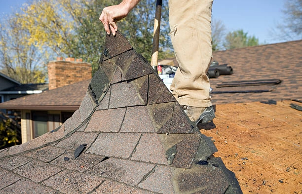 Residential Shingle Roof Contractors Services in Chesterfield, VA