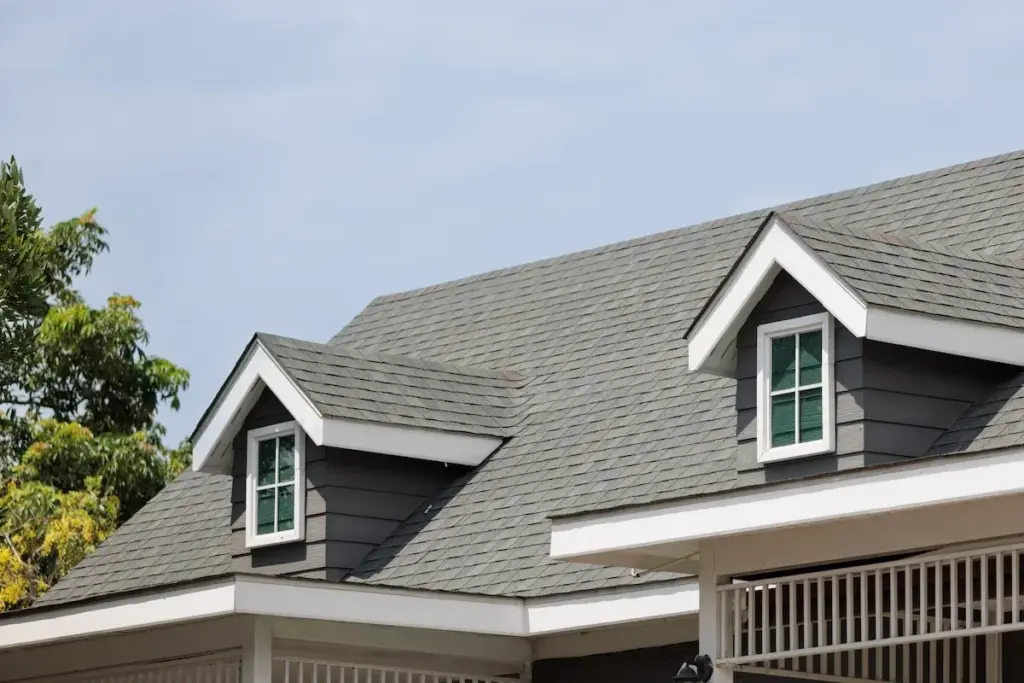 professional asphalt shingle replacement