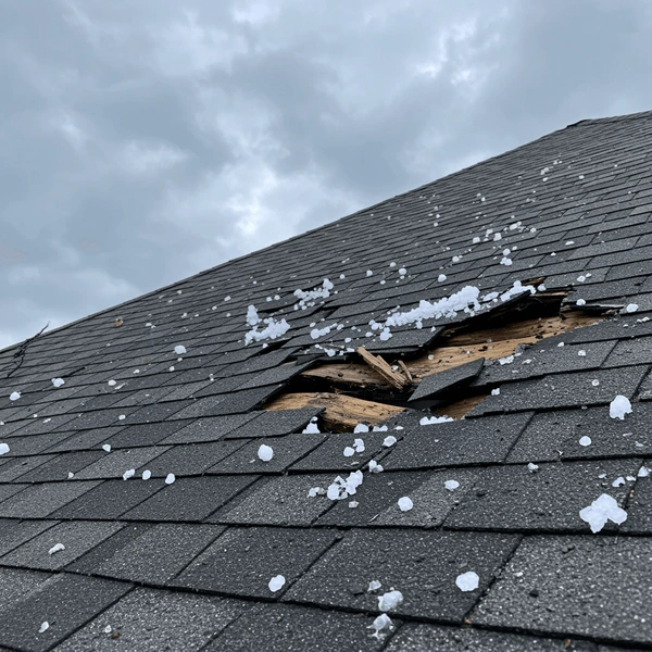 Storm Damage in the Northern Neck of Va